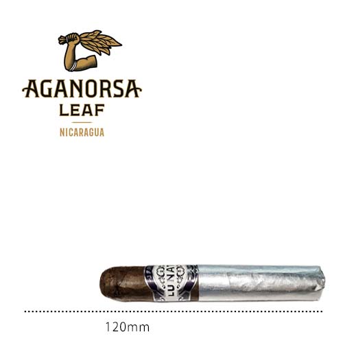 特集カテゴリ商品